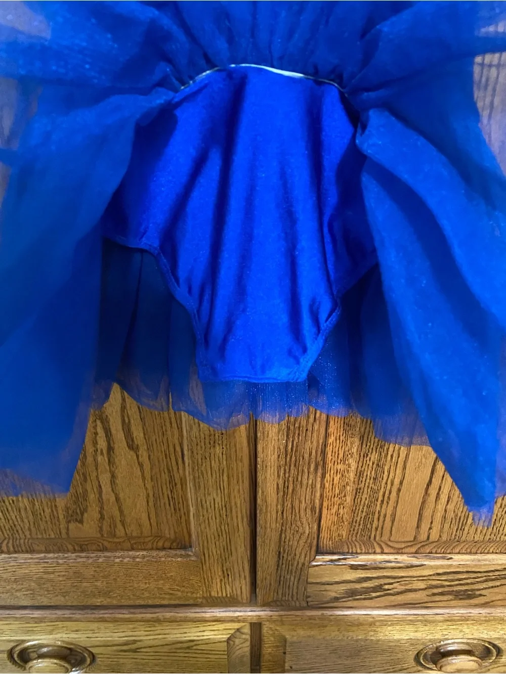 Royal Blue Girls' Tulle Dance Costume with Silver Sequin Applique